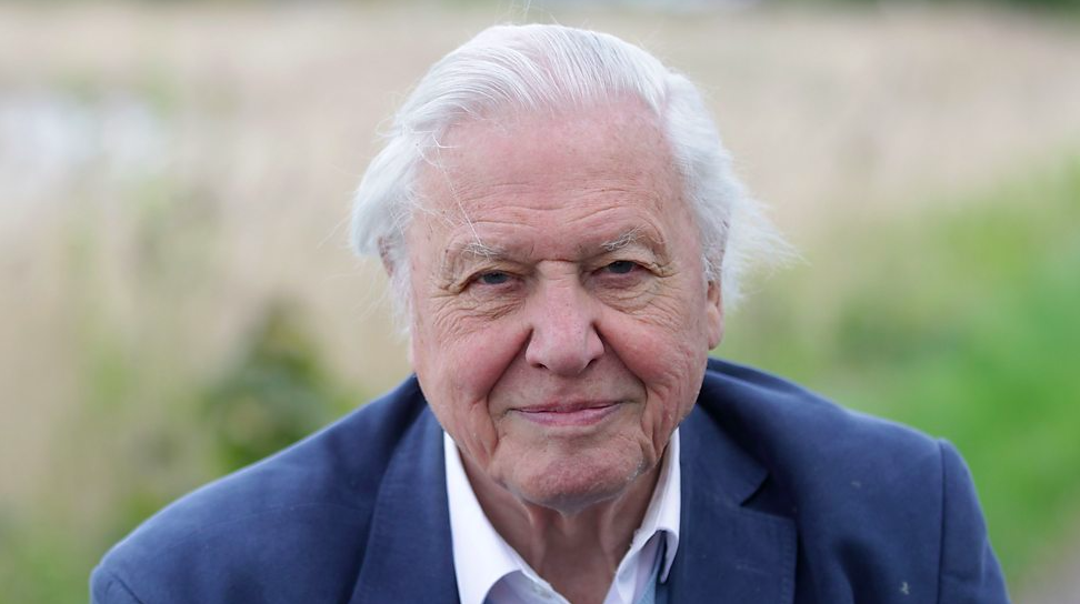 Sir David Attenborough: The Voice of Nature and a Global Icon for Conservation